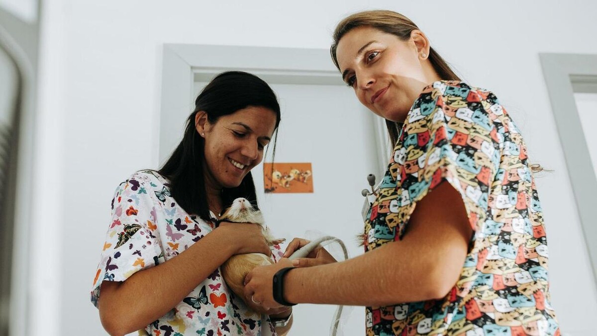 Images Clínica Veterinaria Okapi