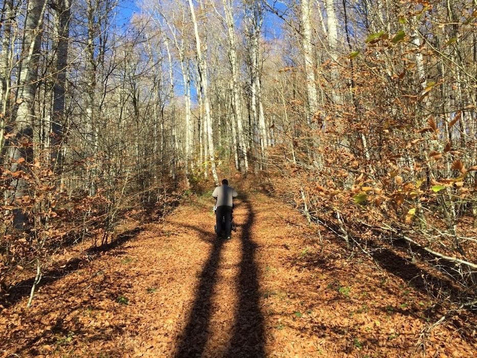 Images CENTRO DE RETIROS DE YOGA PIRINEO