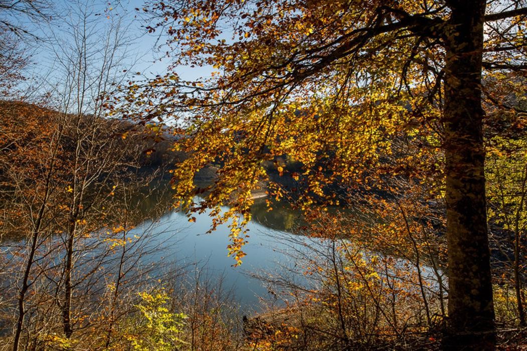 Images CENTRO DE RETIROS DE YOGA PIRINEO