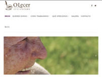 Screenshot for http://www.olecer.com