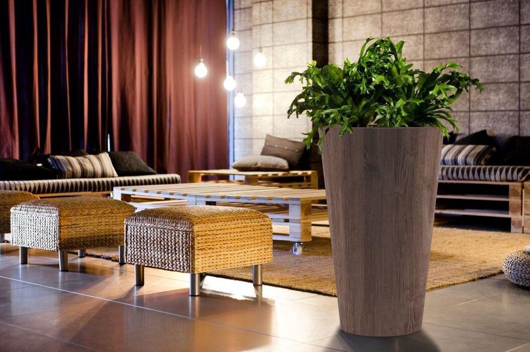 Images Concept Decoración