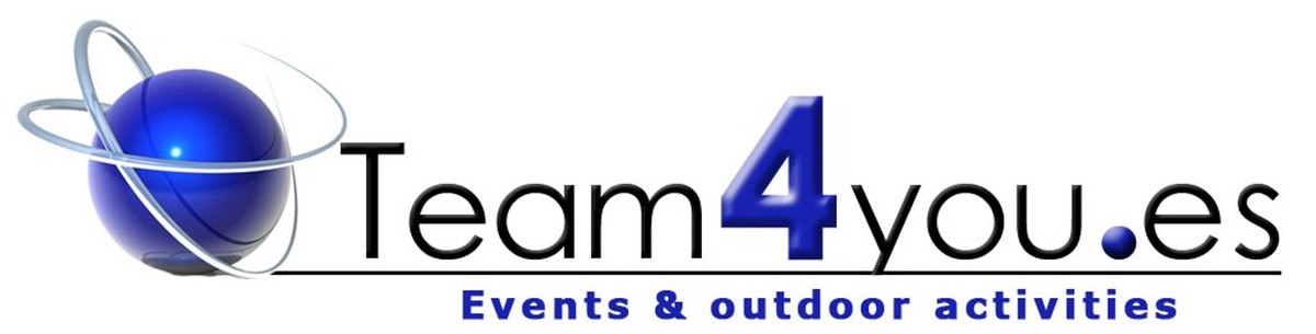 TEAM4YOU Logo