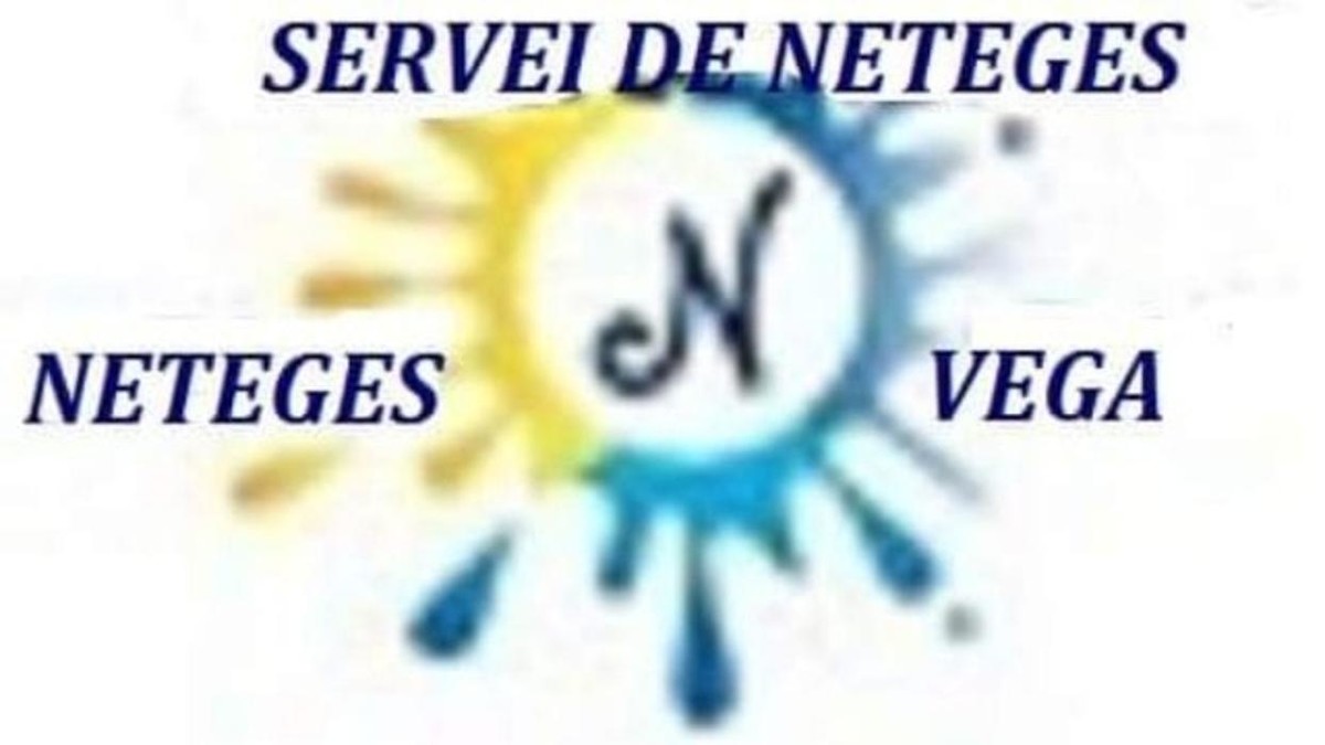 Neteges Vega Logo