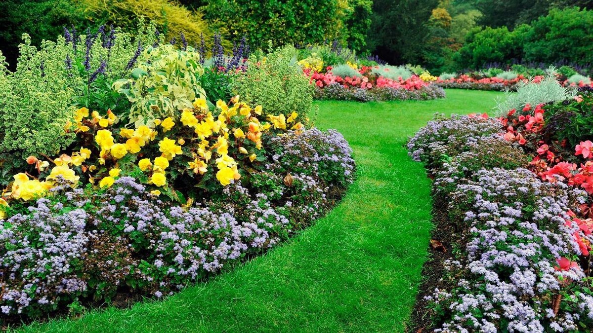Images Verderalia Jardinería