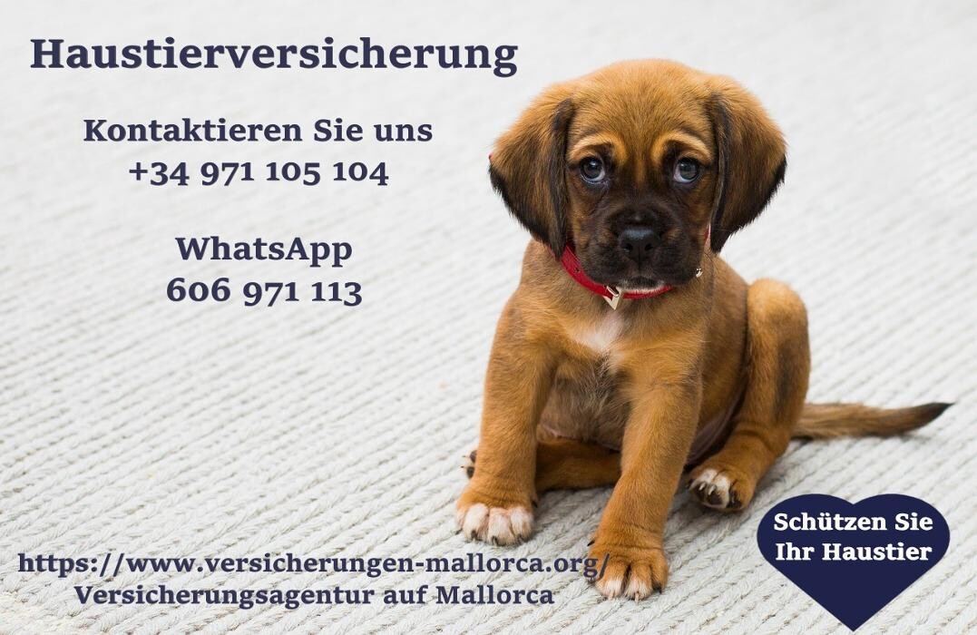 Images DKV Krankenversicherungsagentur auf Mallorca