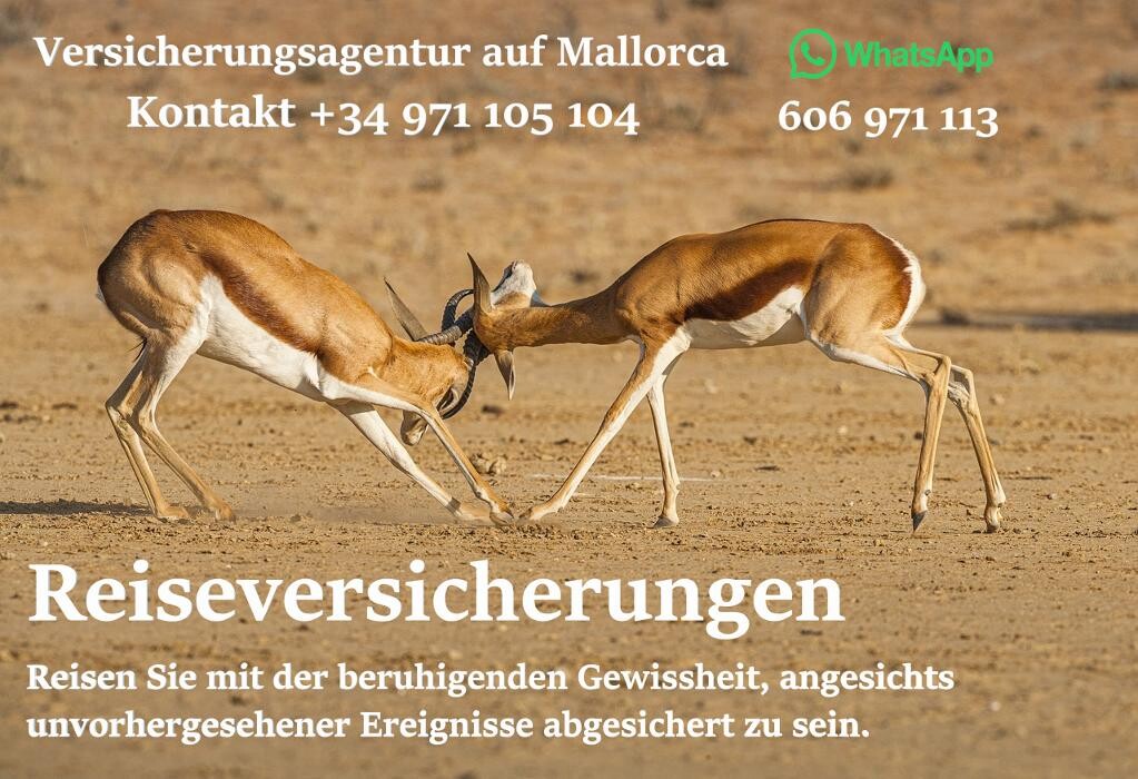 Images DKV Krankenversicherungsagentur auf Mallorca