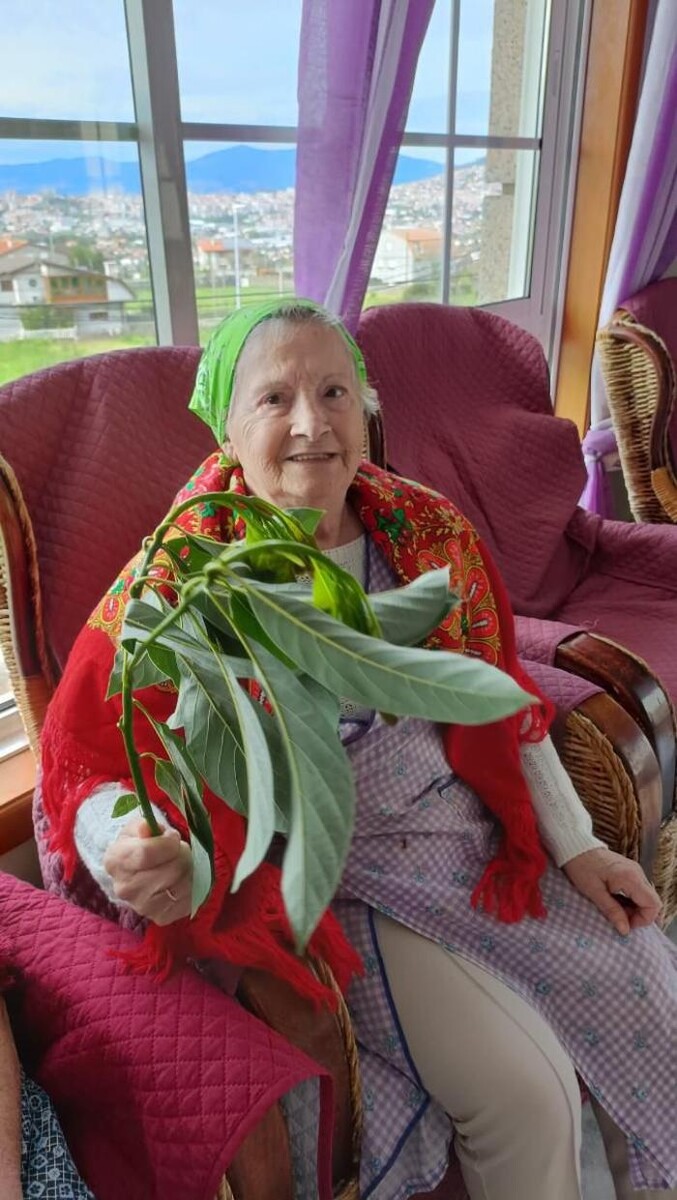 Images Centro de Atención a la 3ª Edad La Palmera