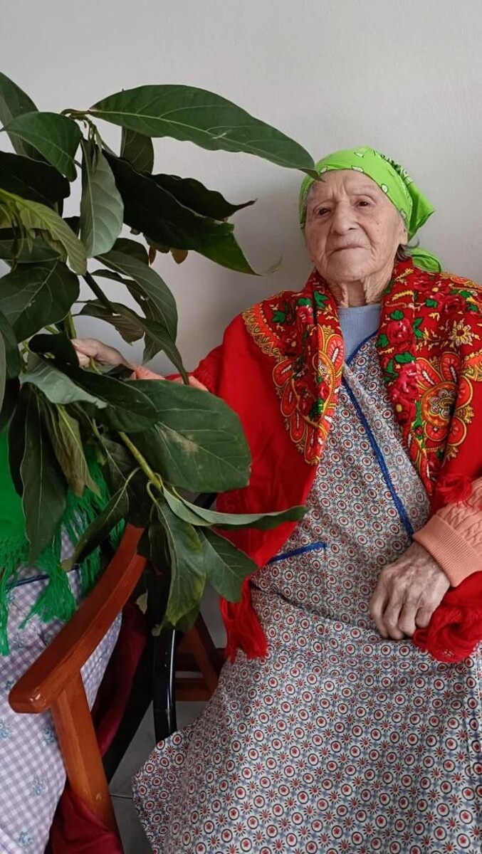 Images Centro de Atención a la 3ª Edad La Palmera