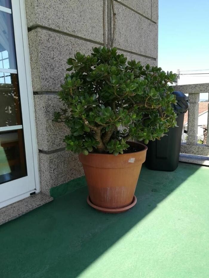 Images Centro de Atención a la 3ª Edad La Palmera