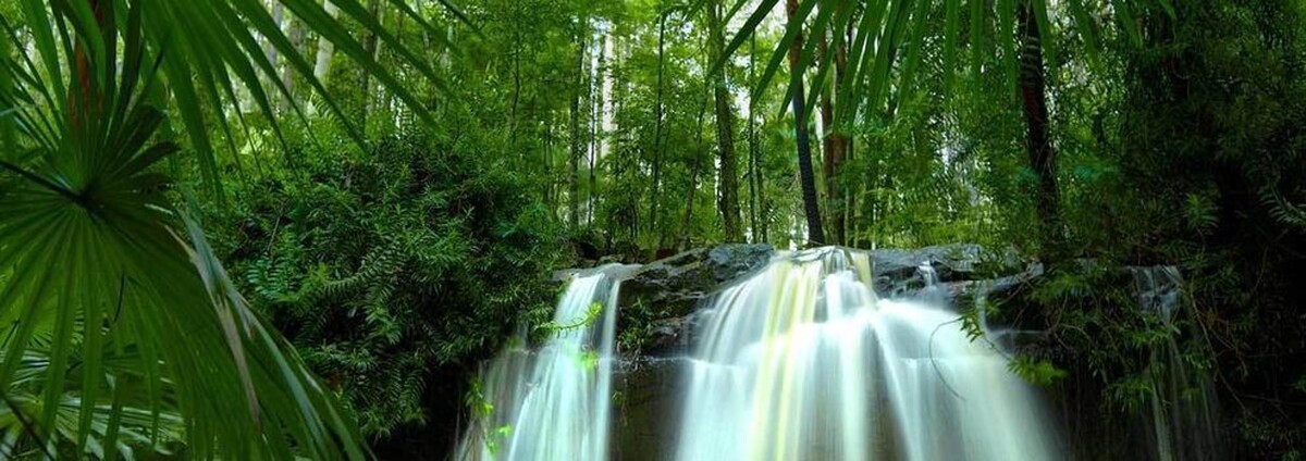 Images Centro de Atención a la 3ª Edad La Palmera