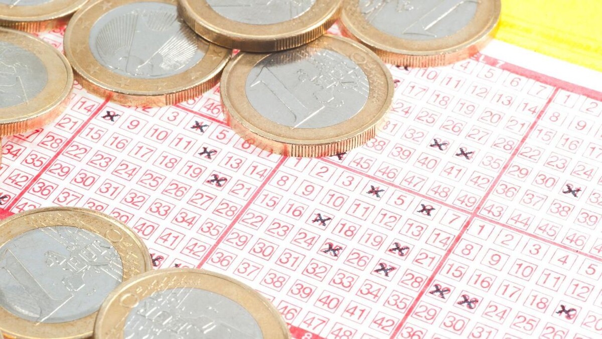 Images EL ESTANCO EXP. 183