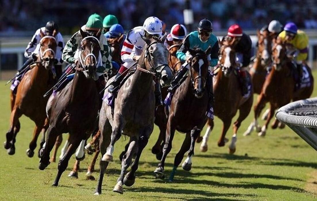 Images EL ESTANCO EXP. 183