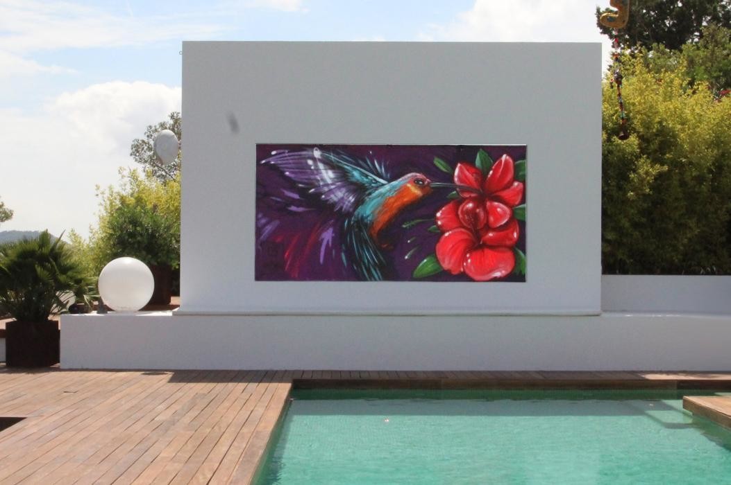 Images BFREE Office Ibiza