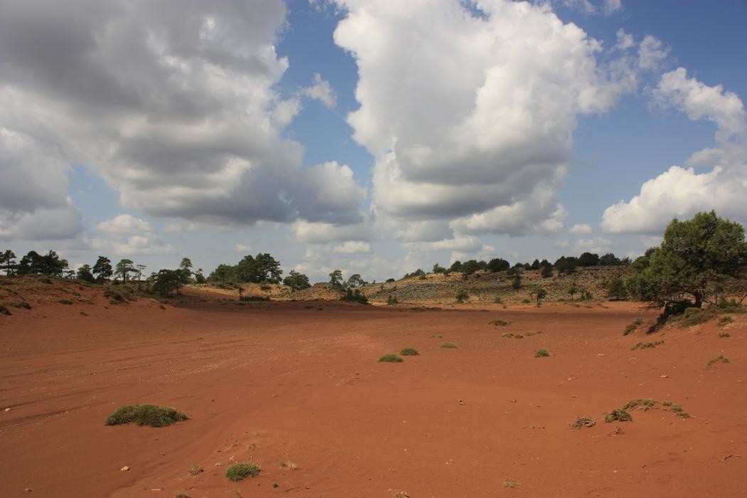 Images Ecoexperience