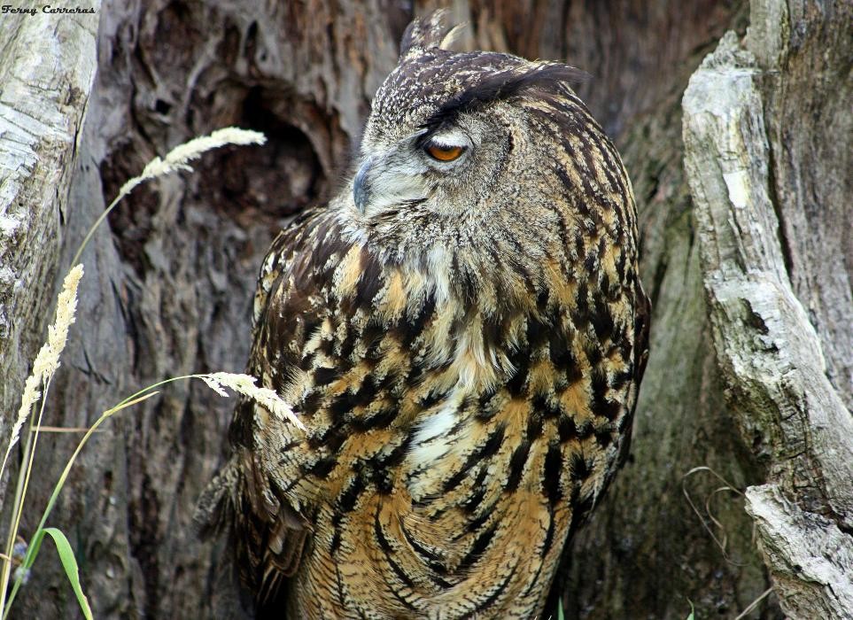 Images Ecoexperience