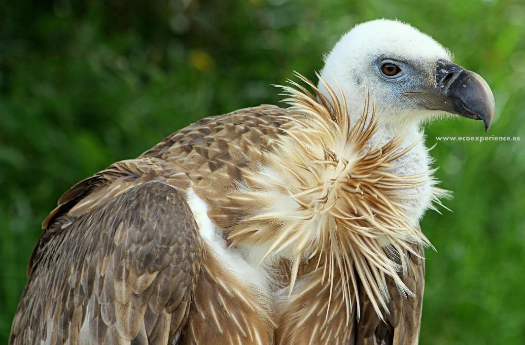 Images Ecoexperience