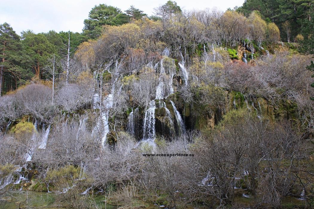 Images Ecoexperience