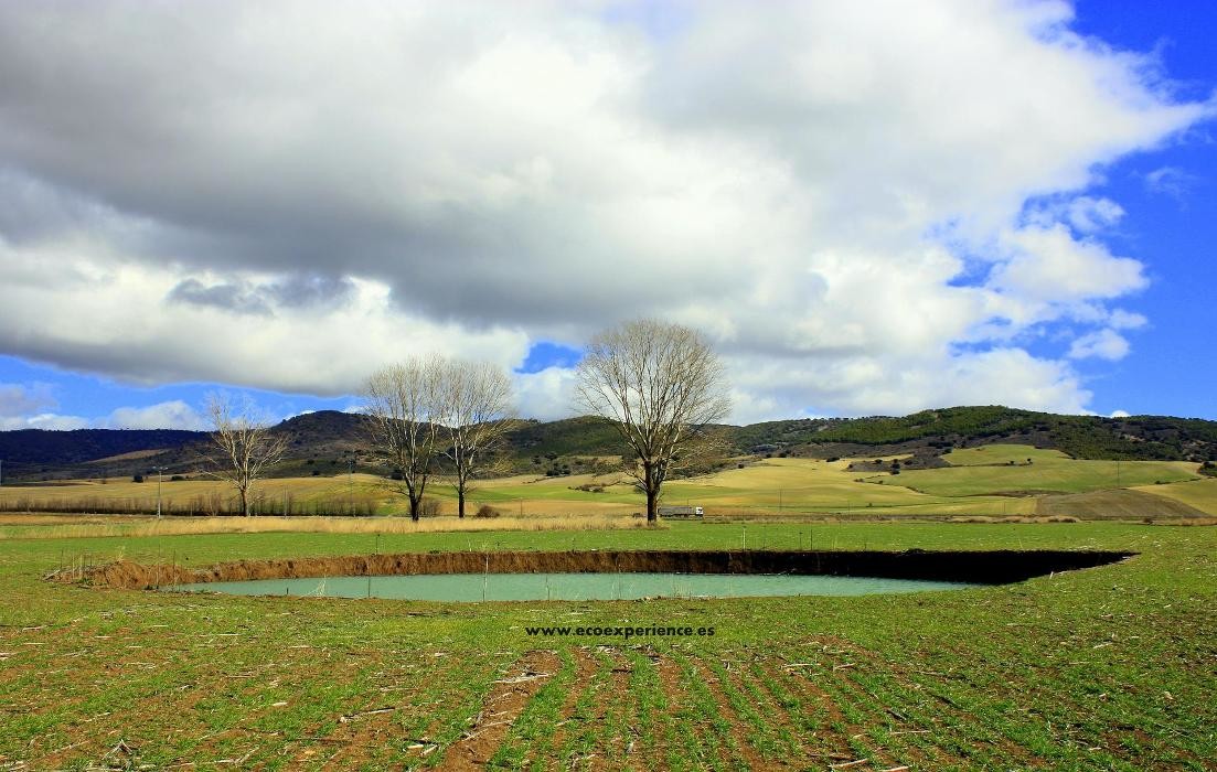 Images Ecoexperience