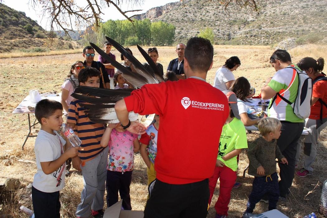 Images Ecoexperience