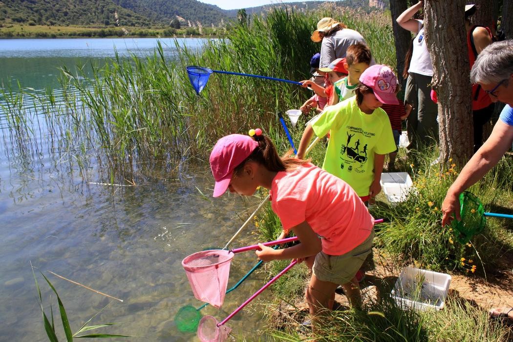 Images Ecoexperience