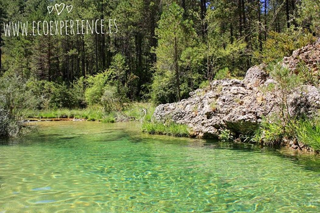 Images Ecoexperience