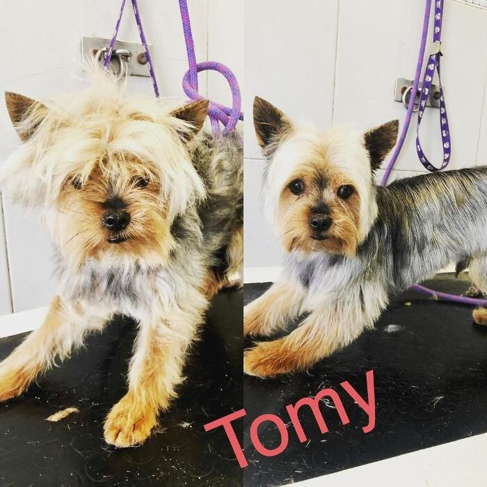 Images CLÍNICA VETERINARIA MANISES