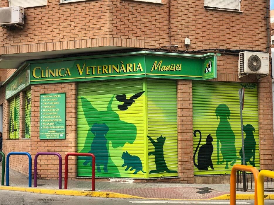 Images CLÍNICA VETERINARIA MANISES