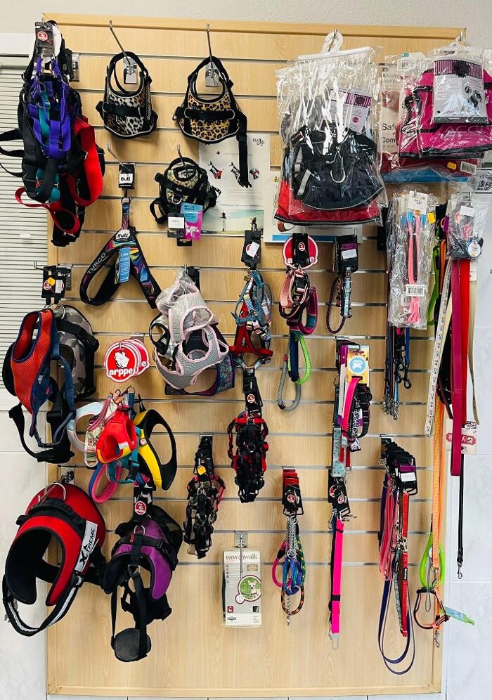 Images CLÍNICA VETERINARIA MANISES