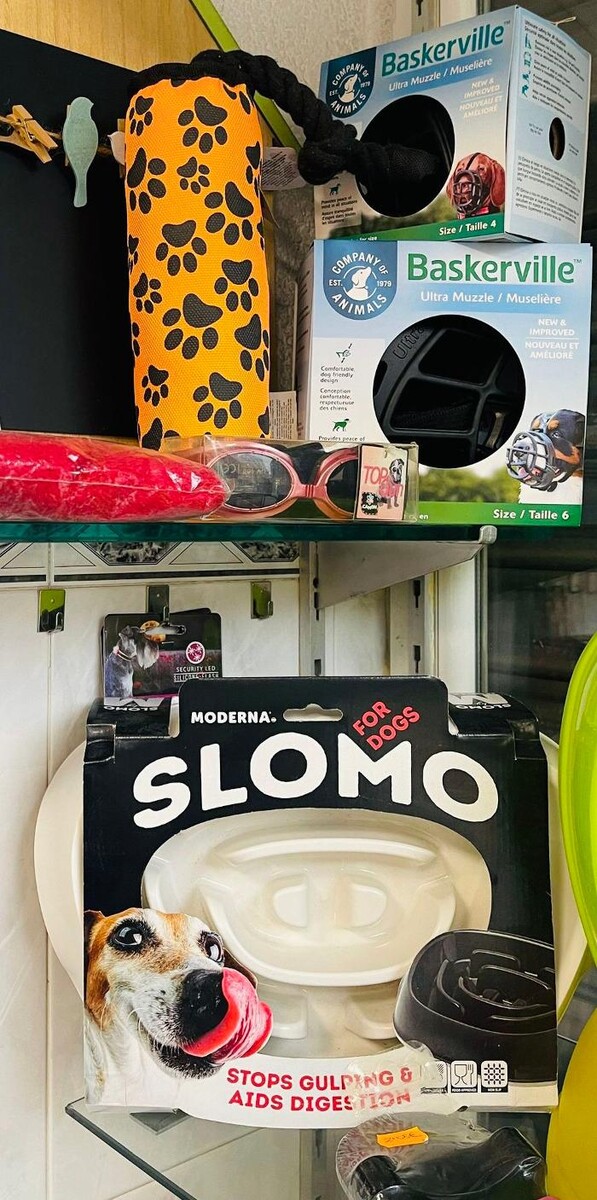 Images CLÍNICA VETERINARIA MANISES