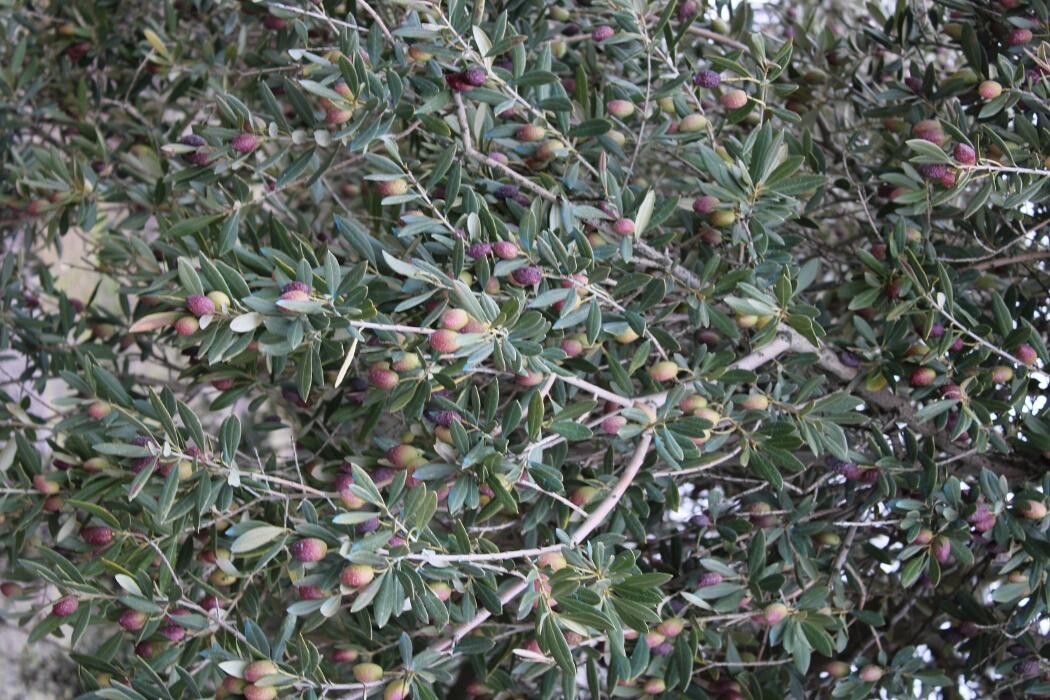 Images GESPROREFA SL.