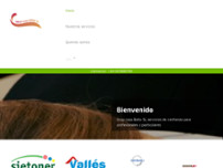 Grup Casa Bohu ( Gestbohu, Vallesinmobiliaria, Sietoner, Bohupaq) website screenshot