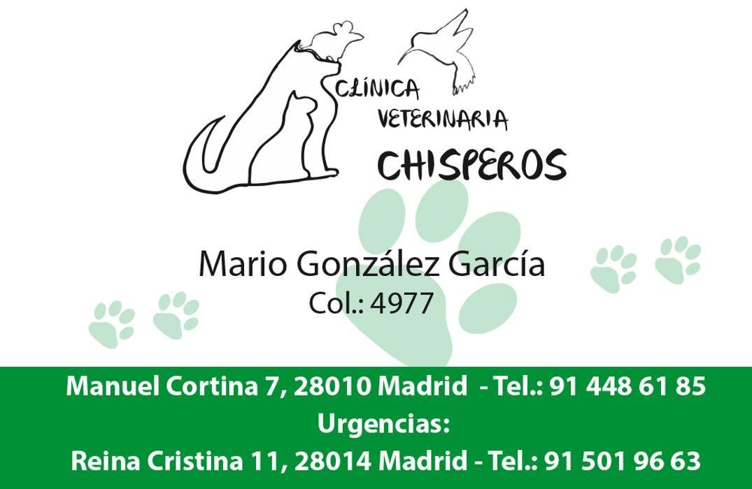 Images CLINICA VETERINARIA CHISPEROS