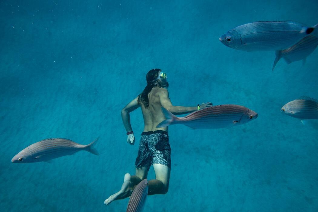 Images Ferry Isla de lobos