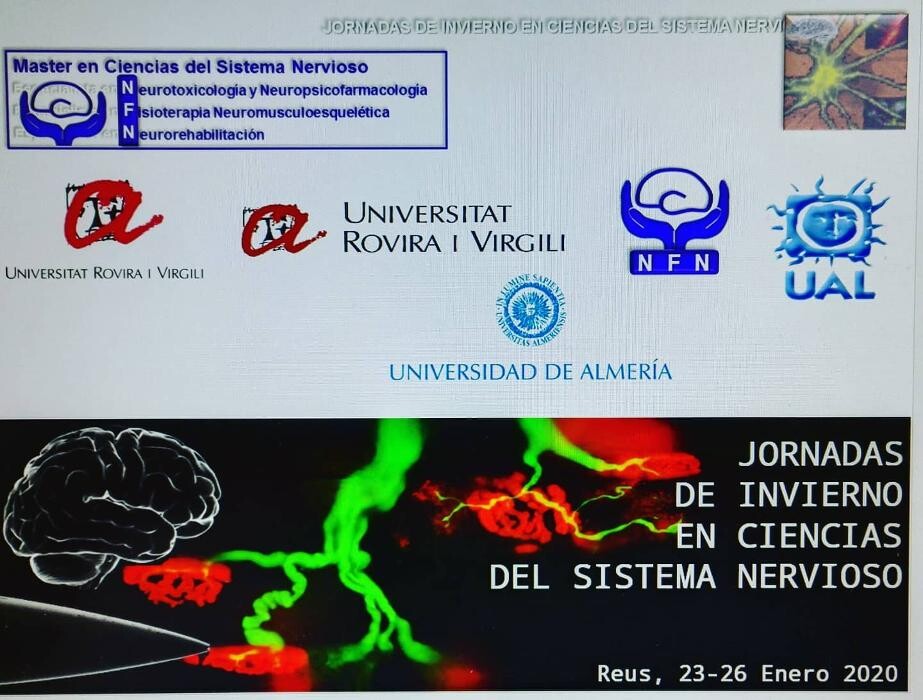 Images Fisioterapia Océano Móstoles