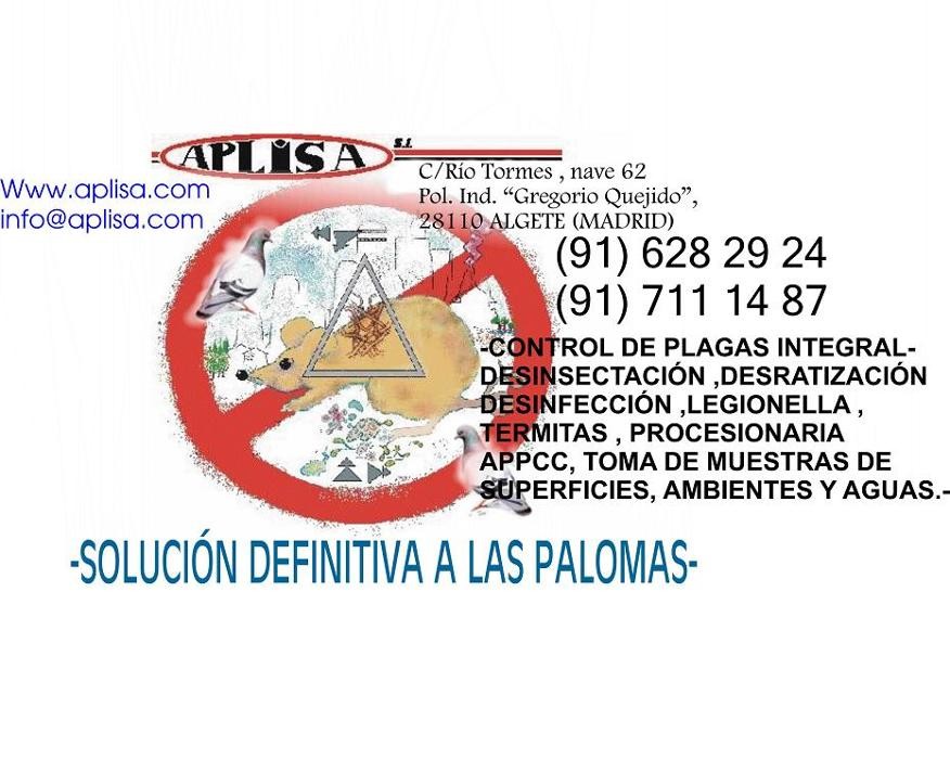 APLISA Logo