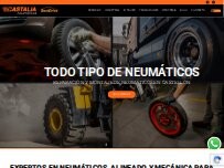 Website Screenshot CASTALIA NEUMÁTICOS Y MECÁNICA