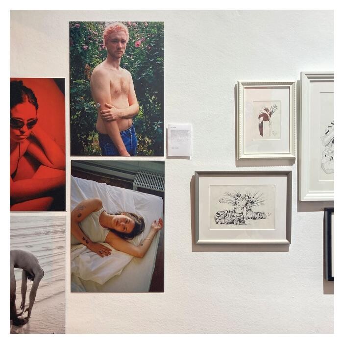Images Arteria Art Gallery