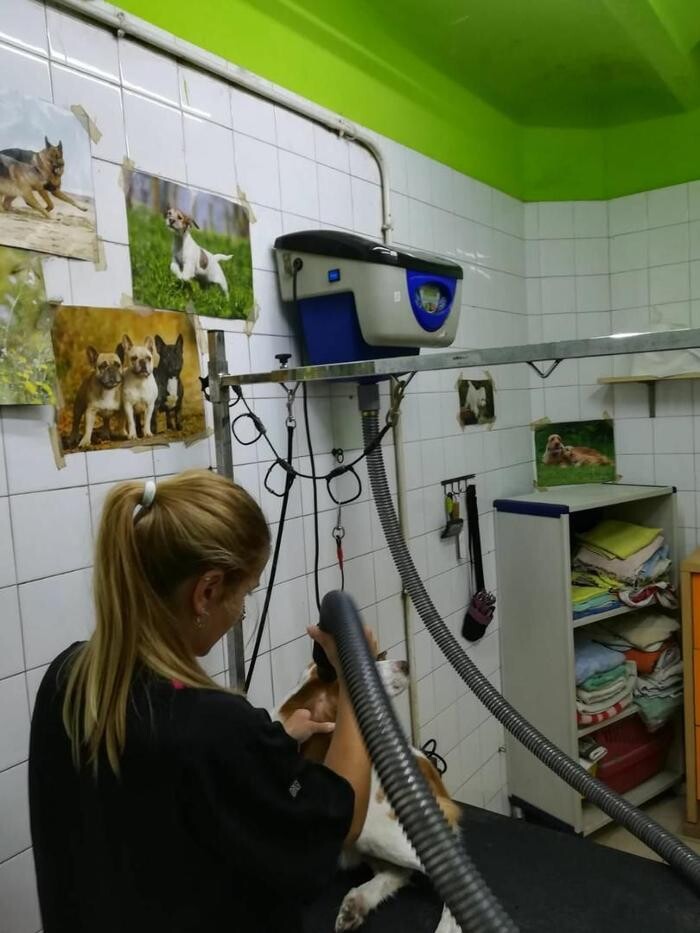Images CLÍNICA VETERINARIA FORT PIUS