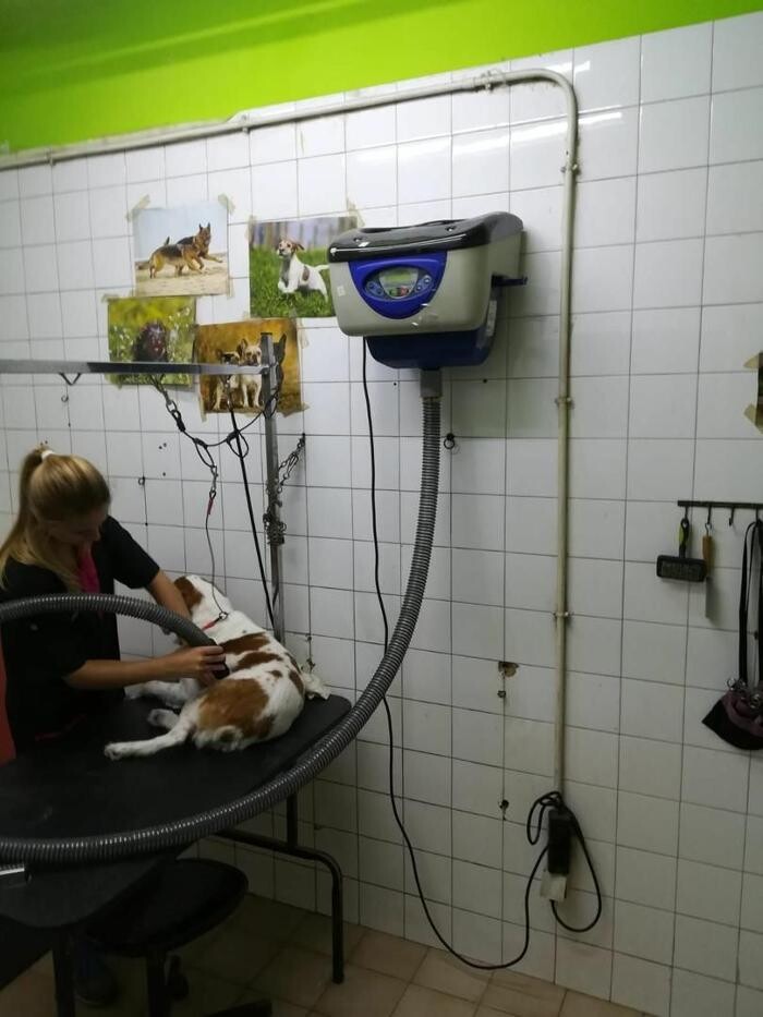 Images CLÍNICA VETERINARIA FORT PIUS