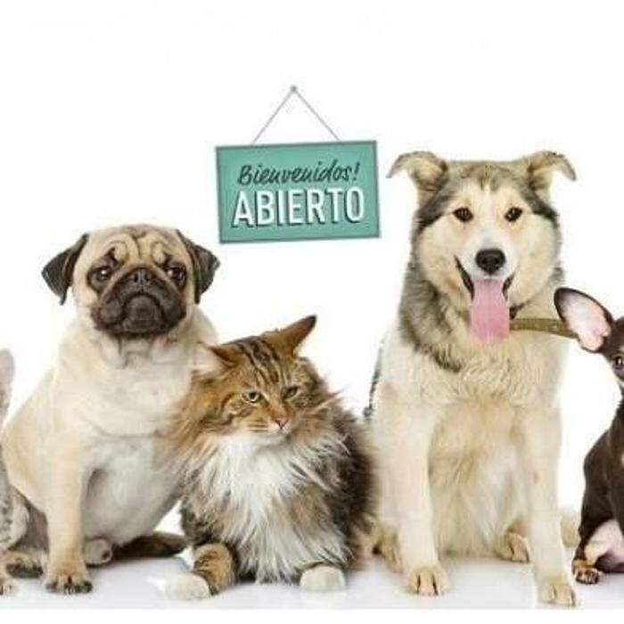 Images CLÍNICA VETERINARIA FORT PIUS