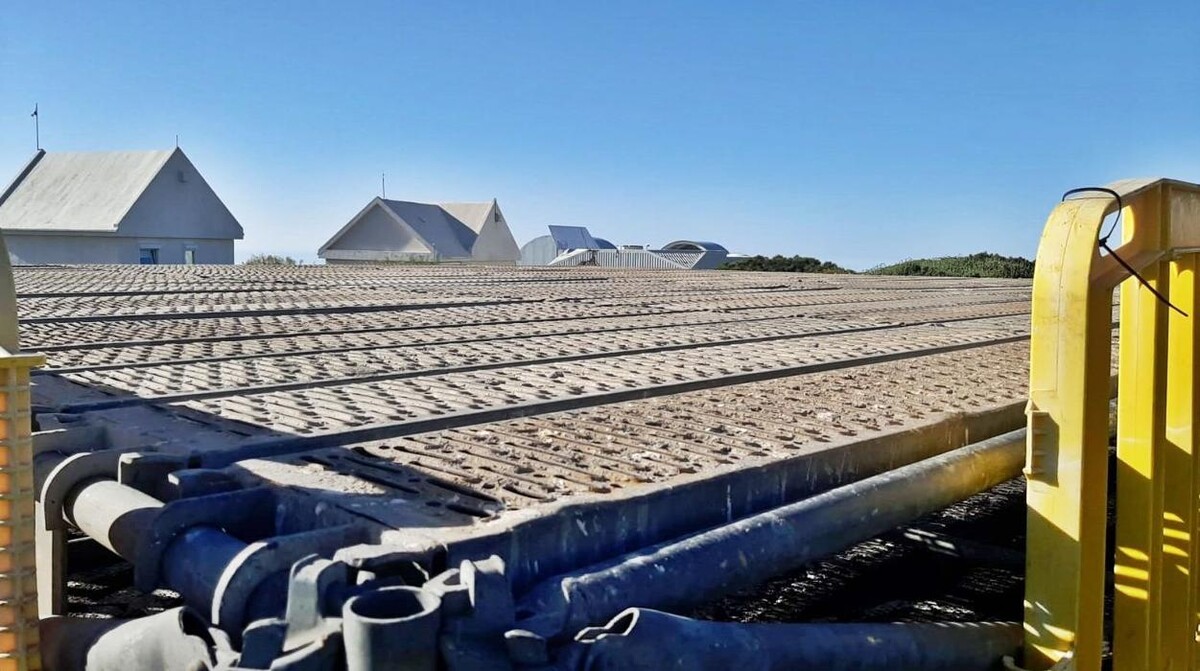 Images Ferretería Acentejo, S.L.