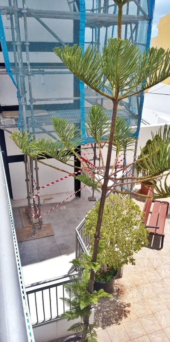 Images Ferretería Acentejo, S.L.