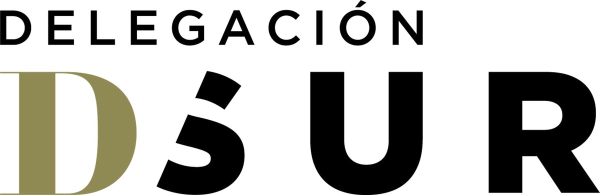 DELEGACION SUR Logo