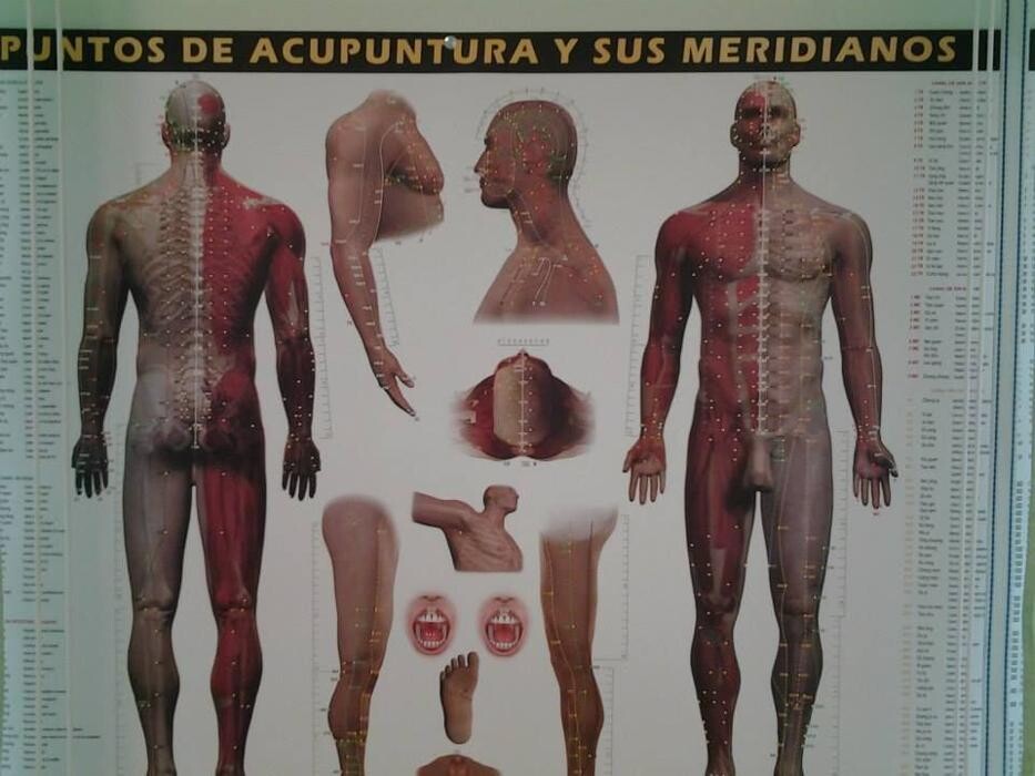 Images Doctora Inma Falcó