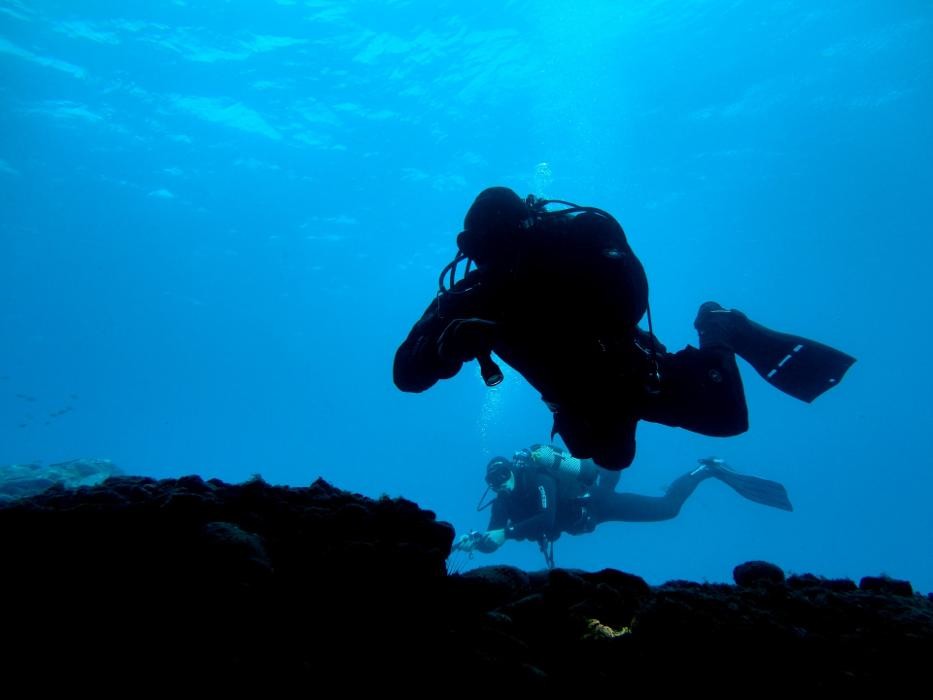 Images Fuerteventura Diving
