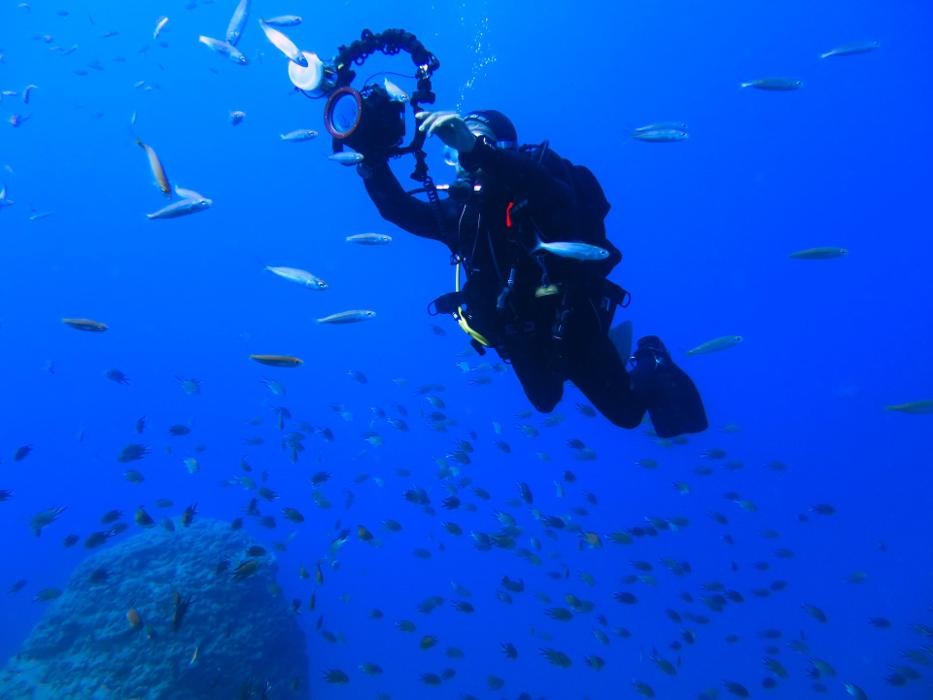 Images Fuerteventura Diving