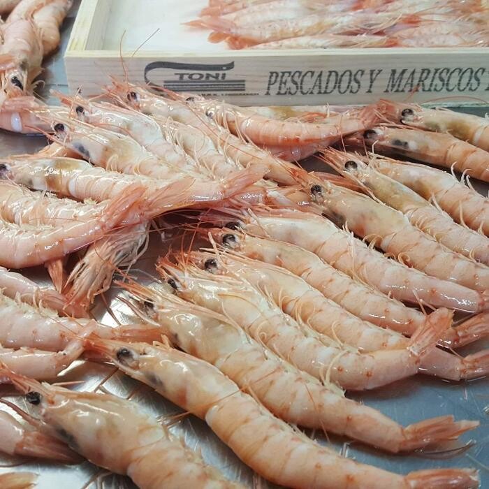 Images MARISCOS TONI