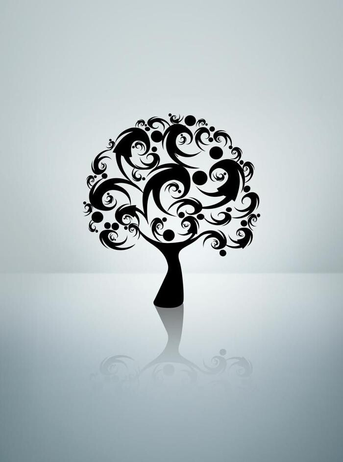 Images MÓNICA DOSIL