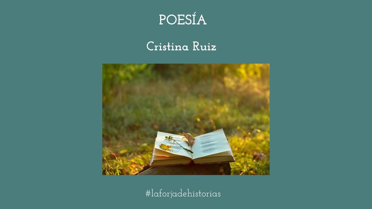 Images LA FORJA DE HISTORIAS S.L.