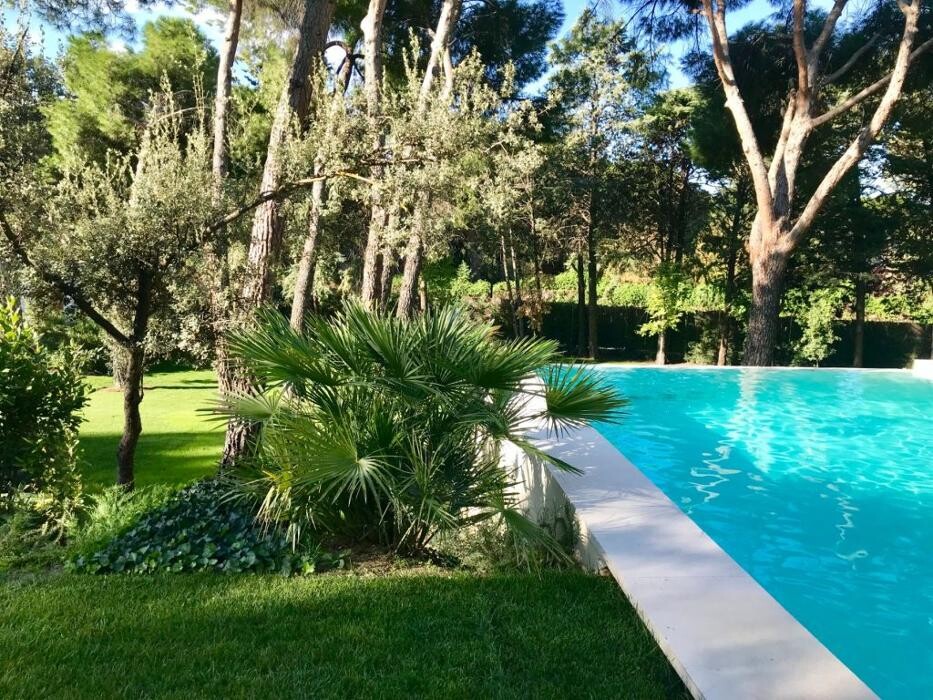 Images Pool&Paddle